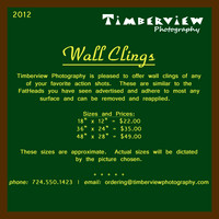 Wall Cling