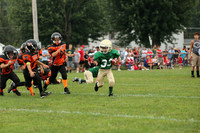 Instr SCF vs Bullskin 8/31